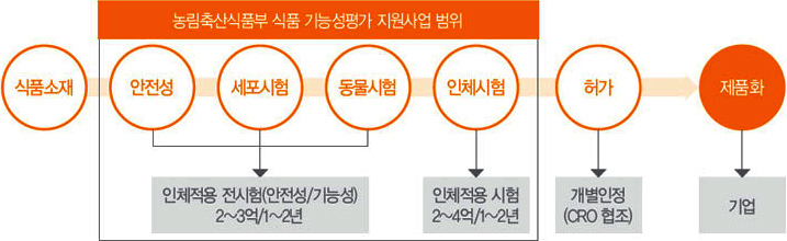 우수 식품소재의 건강기능식품 지원 로드맵